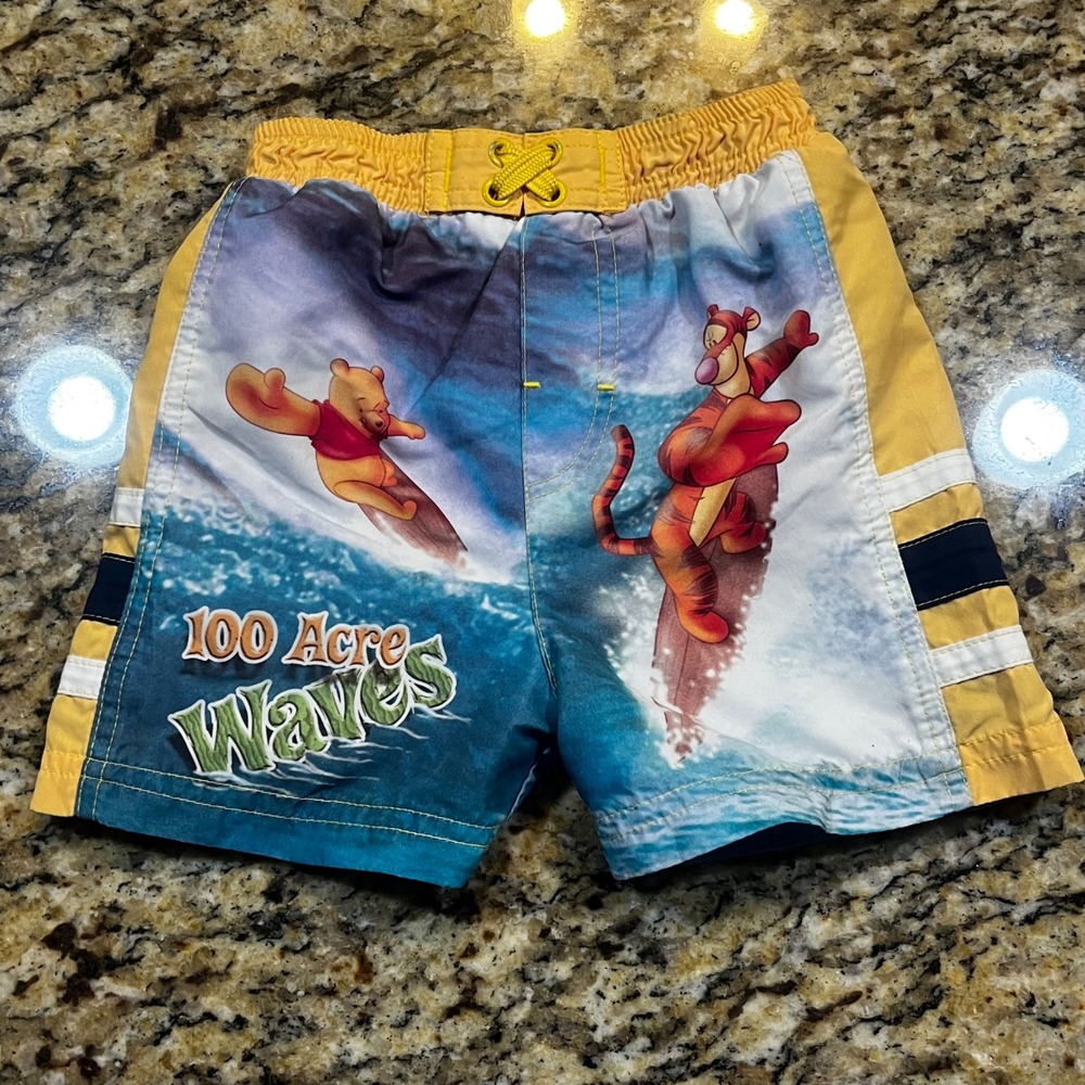 Disney Winnie the Pooh Tigger Surfing Swim Trunksโ Baby Boys 18M 100 Acre Waves